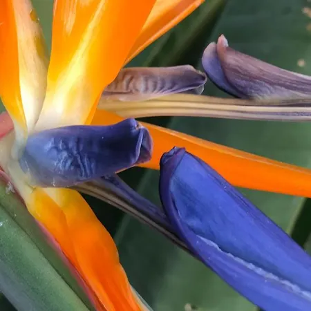 Casaenos غراناديا دي أبونا