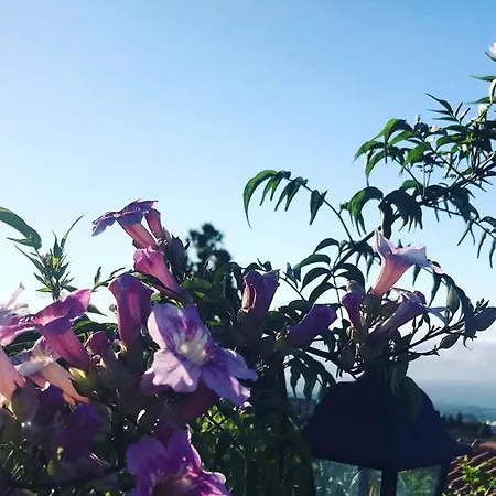 شقة Casaenos غراناديا دي أبونا