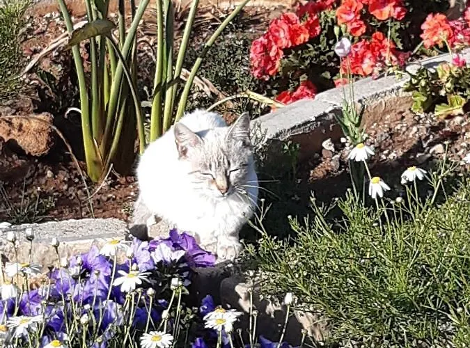 דירה Casaenos גרנדילה דה אבונה