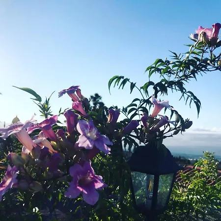 Casa Enos - Ocean View Tenerife South Διαμέρισμα