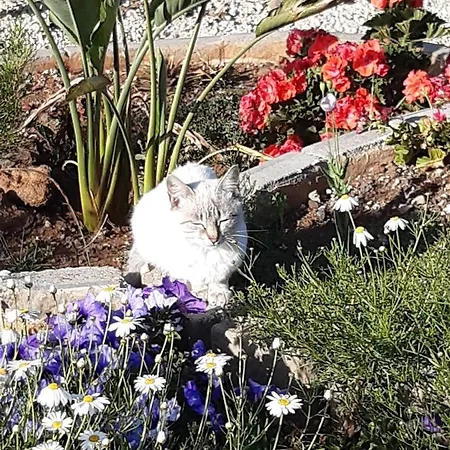 아파트 Casaenos 그라나딜라데아보나