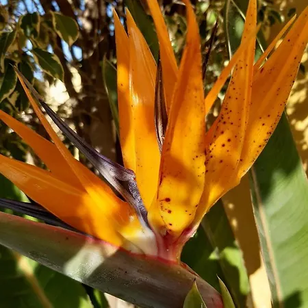 아파트 Casaenos *